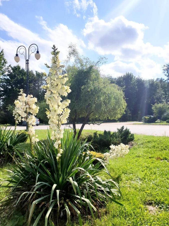 Willa Park Ostrowiec Świętokrzyski Kültér fotó