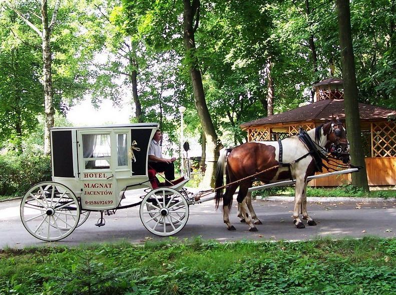 Willa Park Ostrowiec Świętokrzyski Kültér fotó